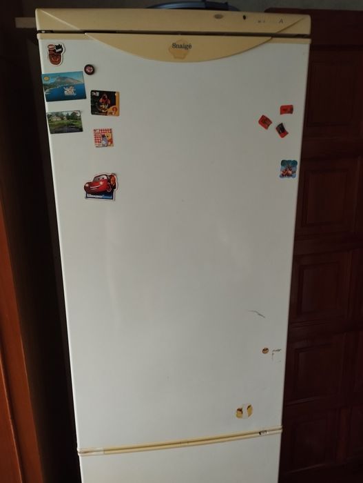 Холодильник Snaige