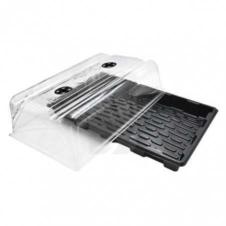 Kit propagador estufa