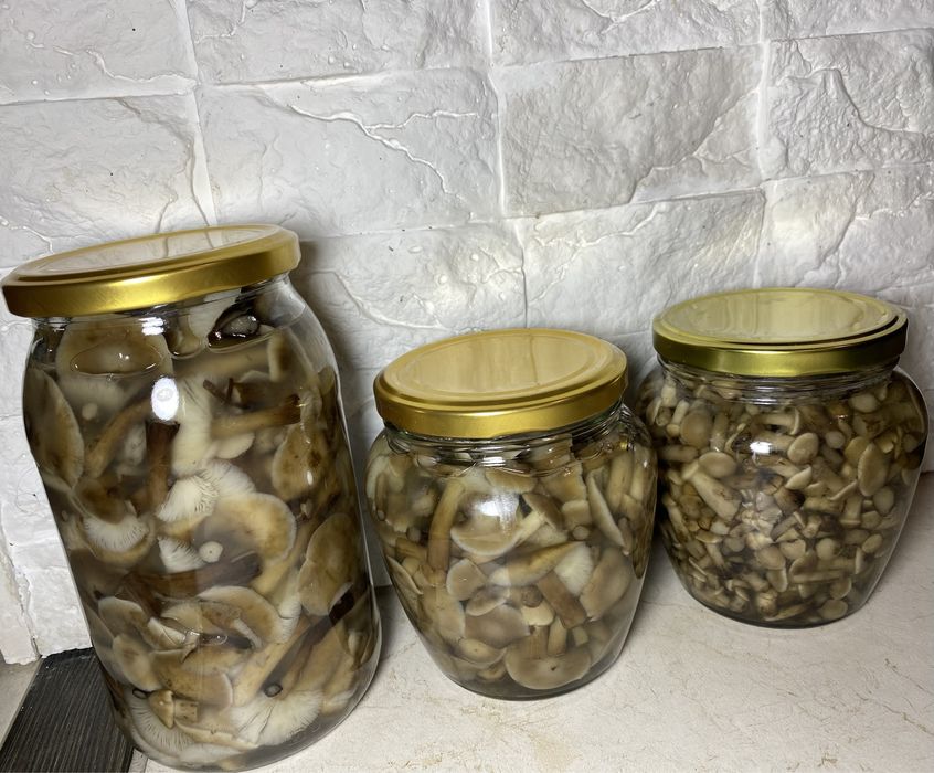 Мариновані грибочки «Святкові» набір з різних видів лісових!