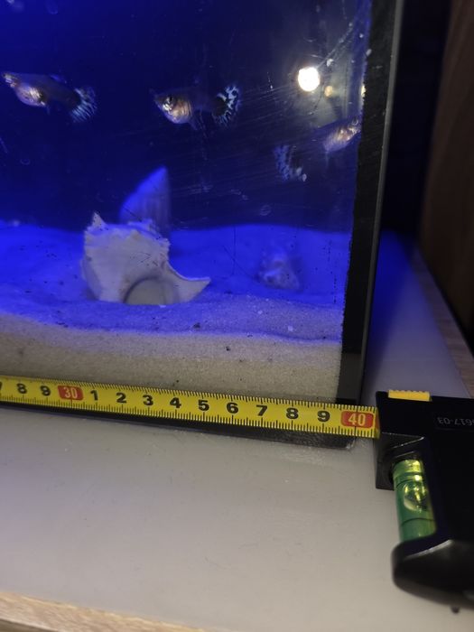 Akwarium z wyposazeniem 40x25