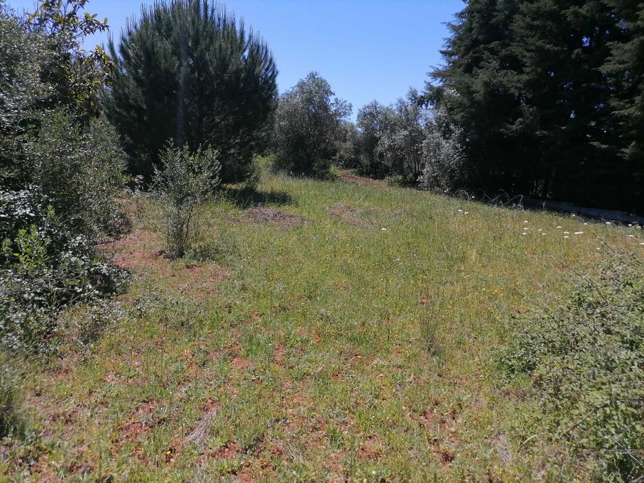 Terreno Rústico 2440m2 com água e luz
