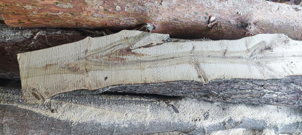 Слеб , дошка не обрізана горіх ,клен ,шовковиця , акація