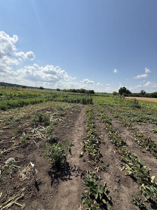 Продаж будинку с.Володимирівка . ( 6 км від Білої Церкви)