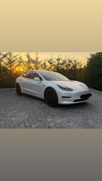 Tesla model 3 2019