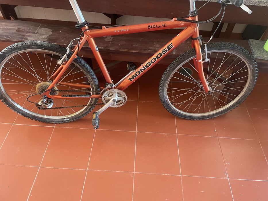 Bicicleta moongose