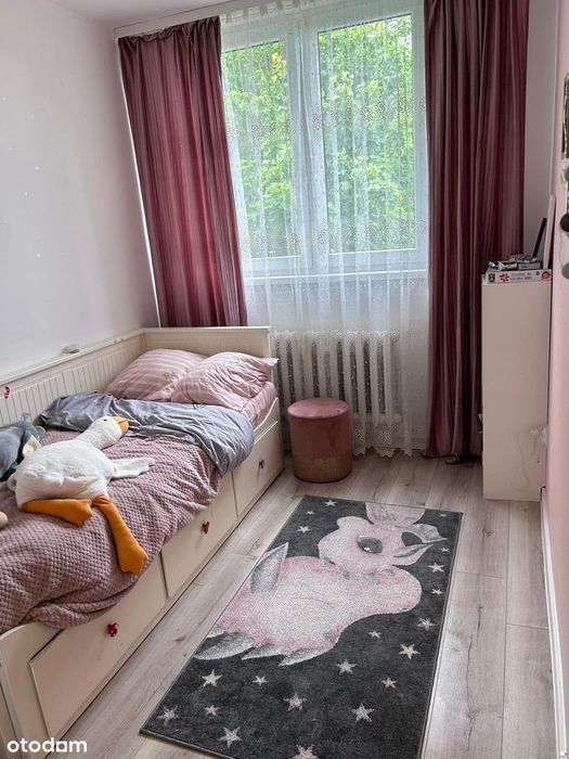 Zdjęcie 5