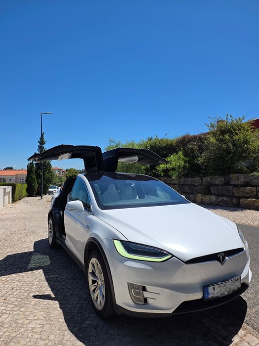 Tesla X 100D 2017
