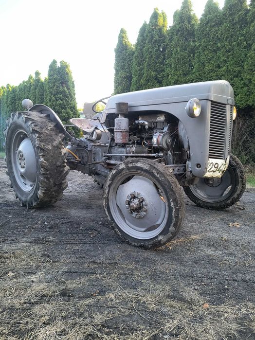 Ferguson tea 20  diesel perkins oryginał 53rok