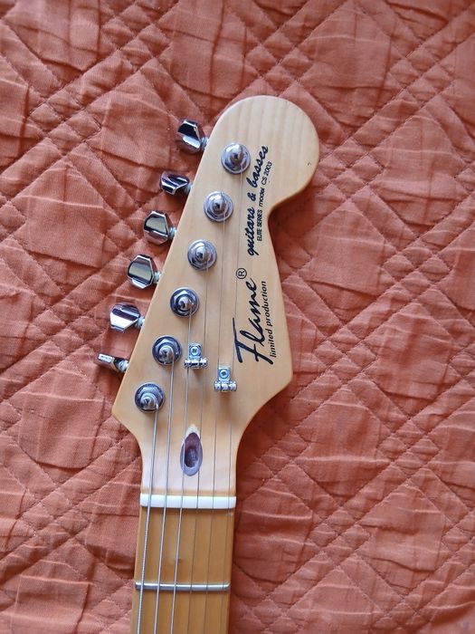 Mayones flame stratocaster