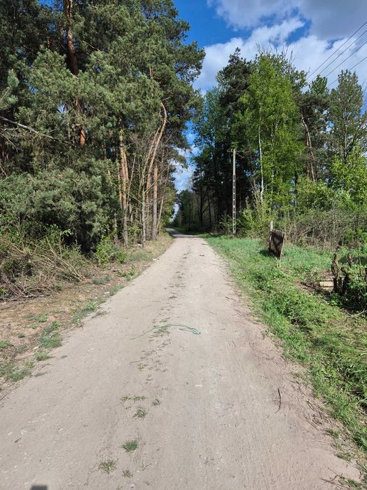 Zdjęcie 6