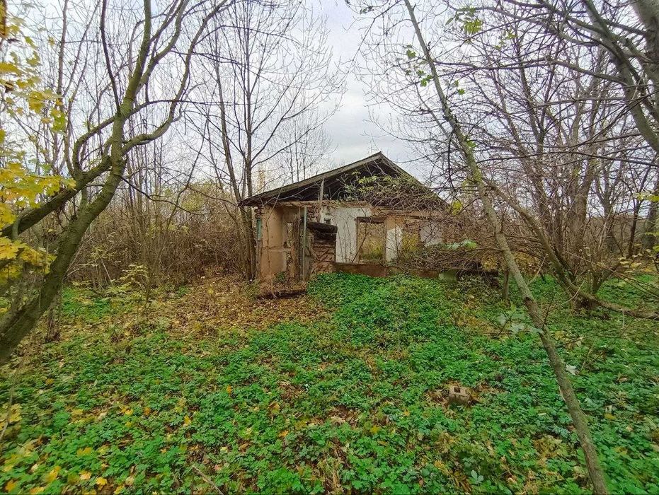 Продам Дом-Участок 25сот с. Просяное. Асфальт к Дому