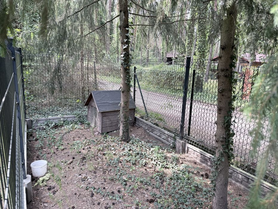 Kojec dla psa z budą