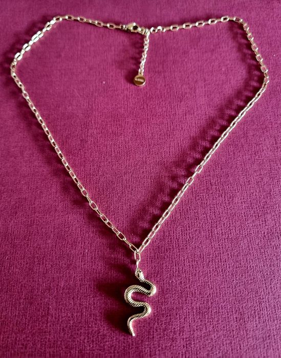Colar dourado, em aço, com pingente em formato cobra. Tem extensor