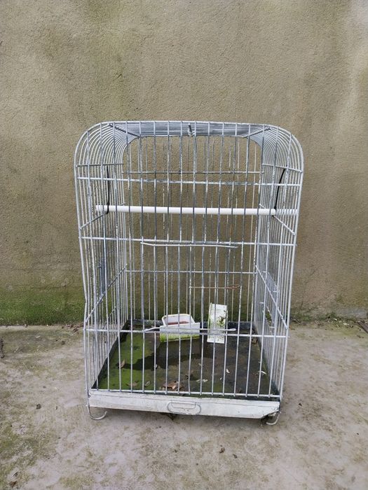 Gaiola papagaio pequena