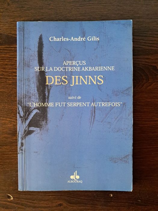Charles-André Gilis - Aperçus sur la Doctrine Akbarienne des Jinns