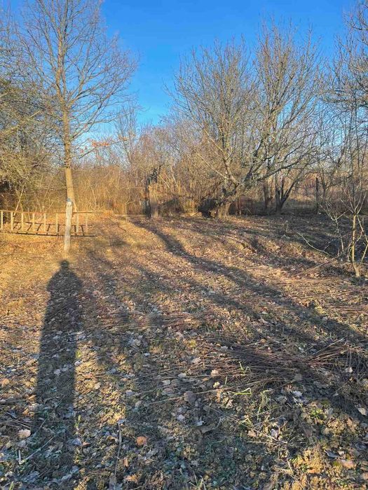 (3) Продам земельну ділянку в Вороновиці 5314