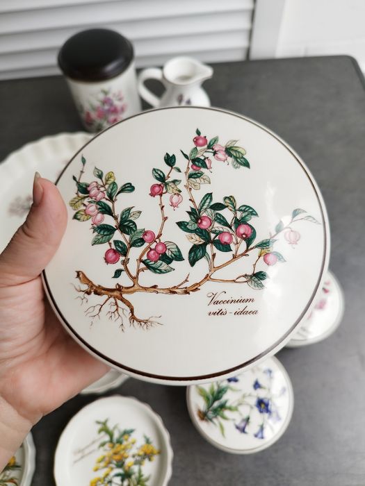 Villeroy & Boch Botanica