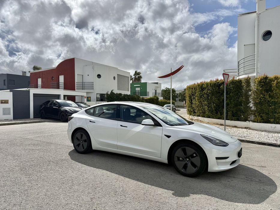 Tesla Model3 2021 Standard range plus518739319336488965