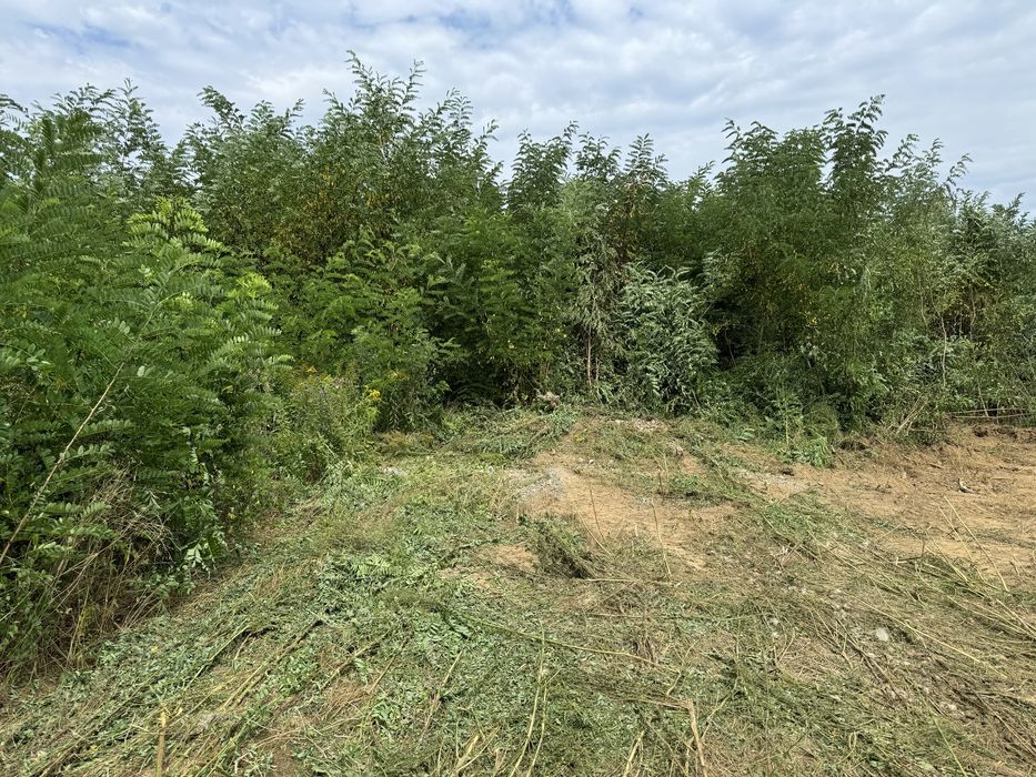 М Виноградів вулиця Міська 31