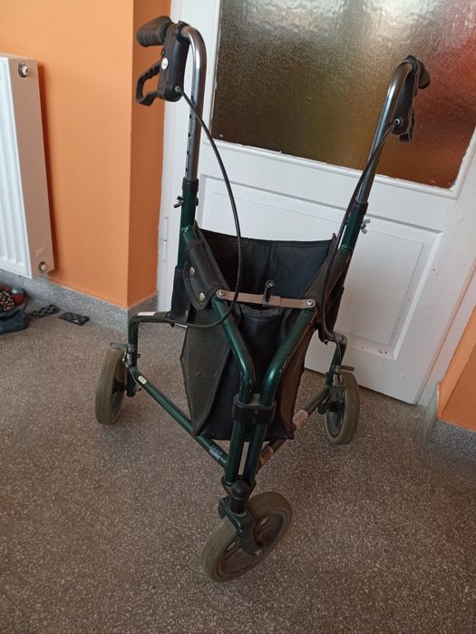 Trójkołowy chodzik