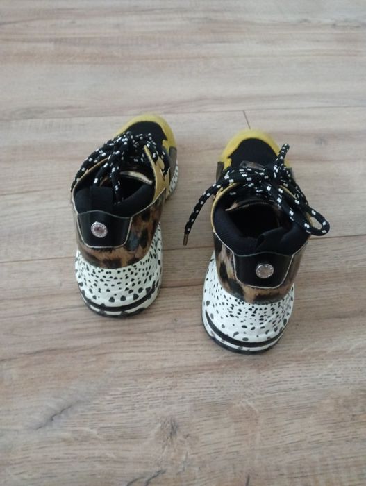 Tenisówki Steve Madden