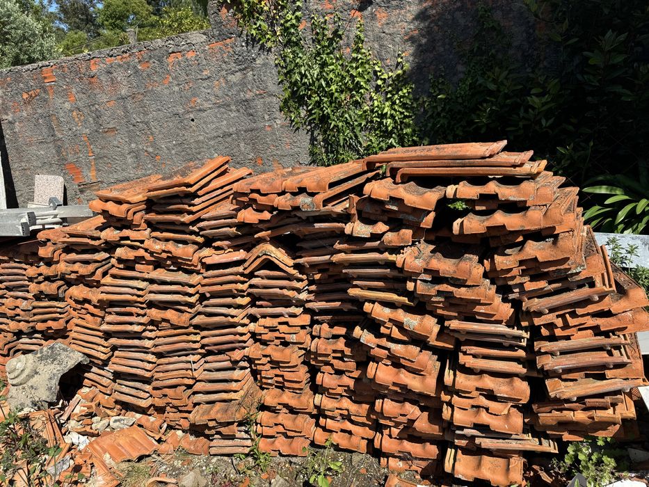 Telha francesa  600 unidades