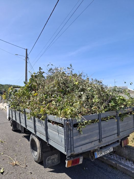 Servico de limpeza de terrenos
