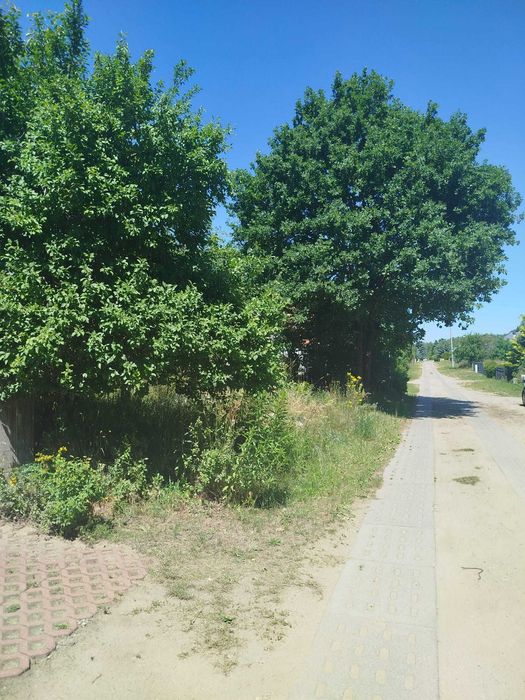 Działka na sprzedaż - Trzcianka - Widok 3