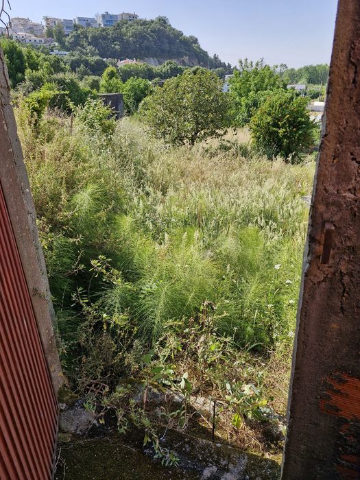 Manutenção dos terrenos