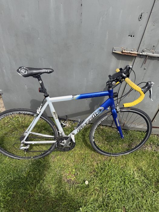 Rower szosowy Gazelle Vuelta 56