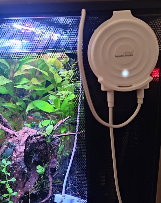 Chihiros Doctor Mate