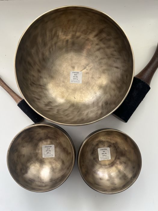 Misy księżycowe himalajskie 3 sztuki  - cena zakupu 3120,00