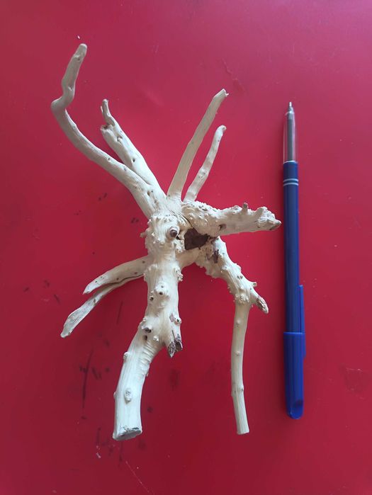 Troncos para aquário +/-20 cm