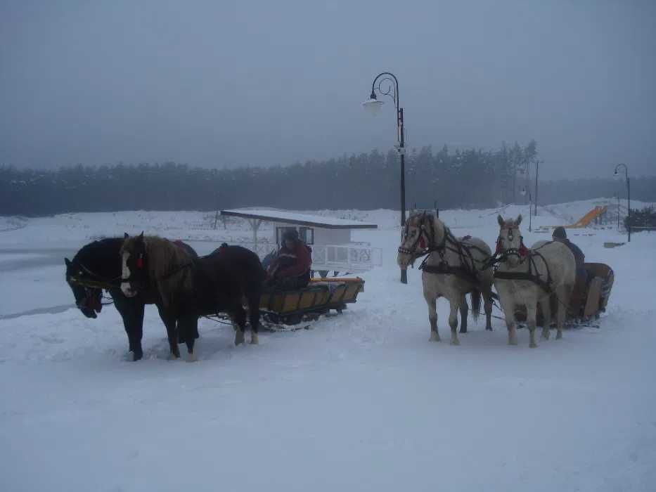 Noclegi w agro, domek lub pokoiki, kuligi z ogniskiem duktem leśnym.