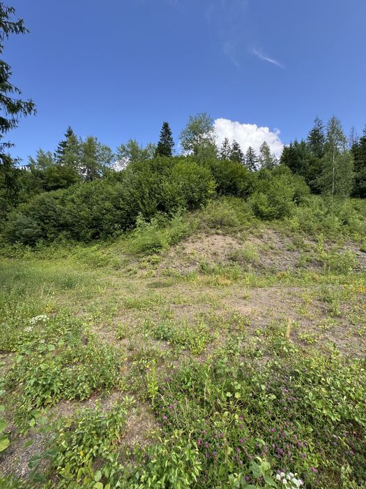 Продаж ділянки у Славське (14 сот.), БЕЗ КОМІСІЇ, вул. Стуса.