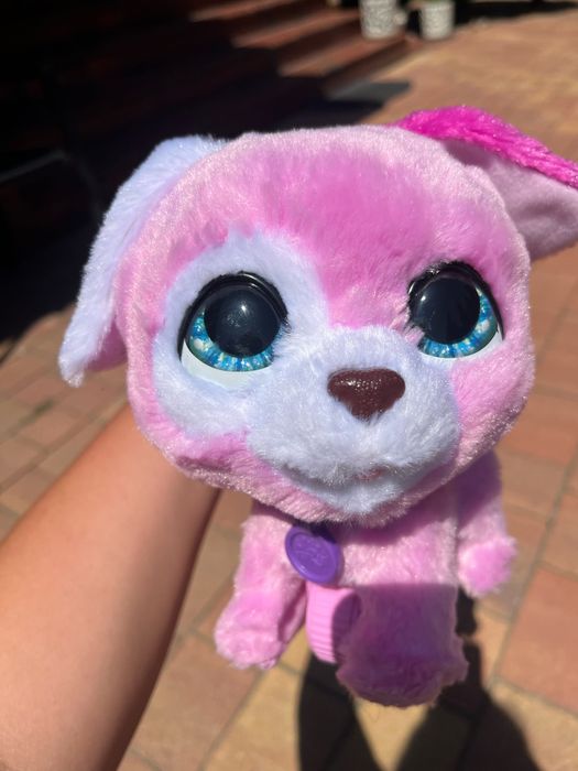 Piesek szczeka rusza się