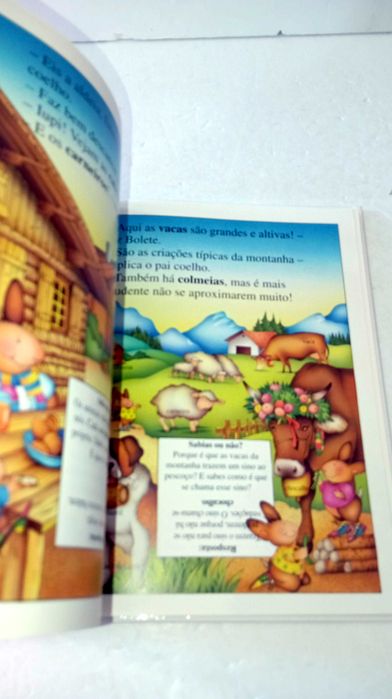 Os Coelhinhos... descobrem a montanha