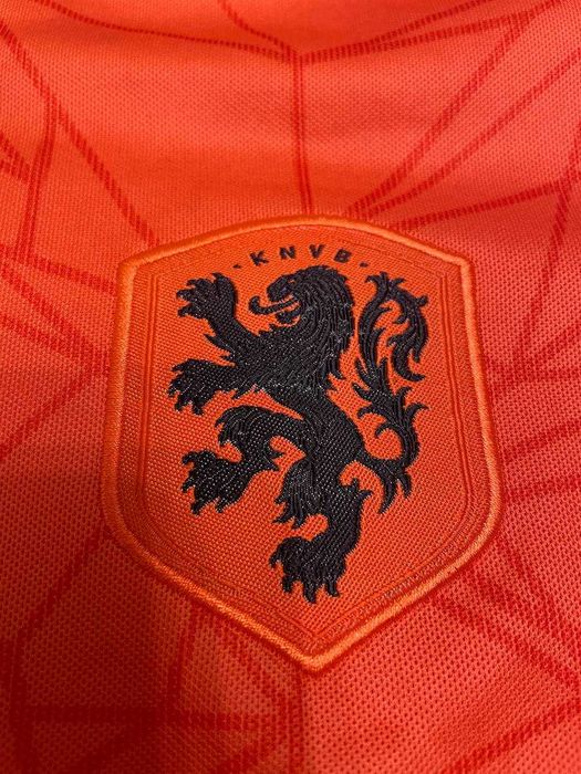 Футбольна футболка Memphis Depay #10 Нідерланди юнацька