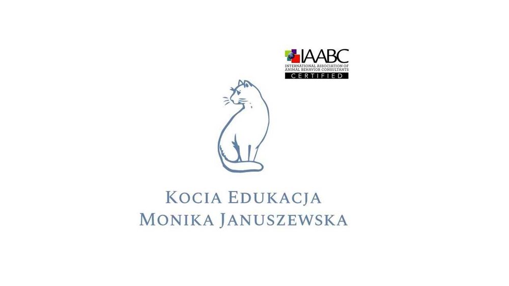 Koci behawiorysta - krótka porada przez telefon - tylko 100 zł!
