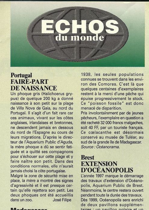 Francês para Empresas e Emigração | Coimbra e Online