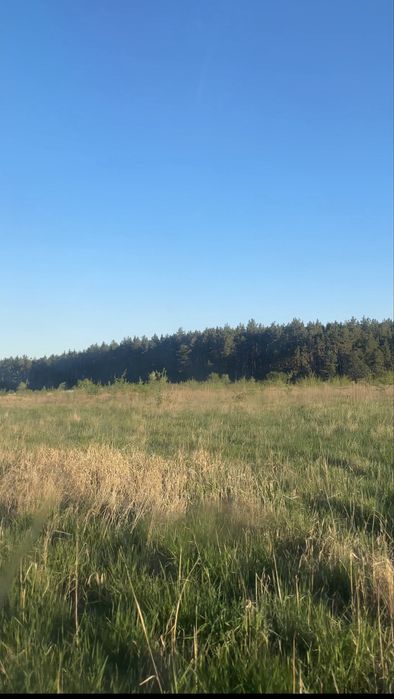 Продам паї  СГ ( земельні ділянки )