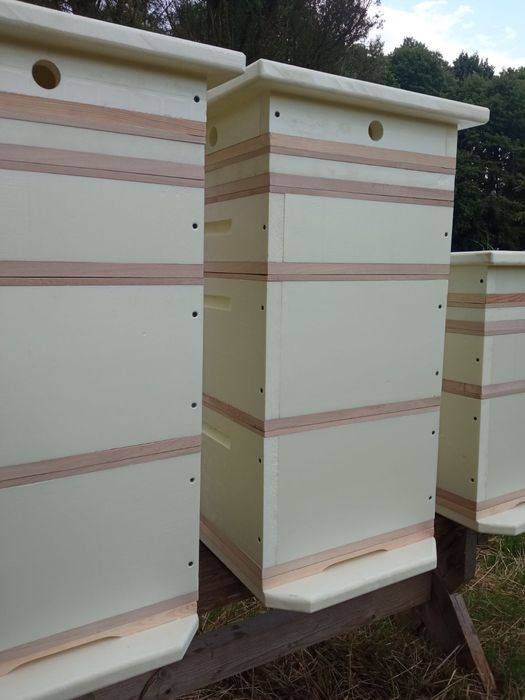 Ule wielkopolskie 10 ramkowe z steroduru 3cm x ps300