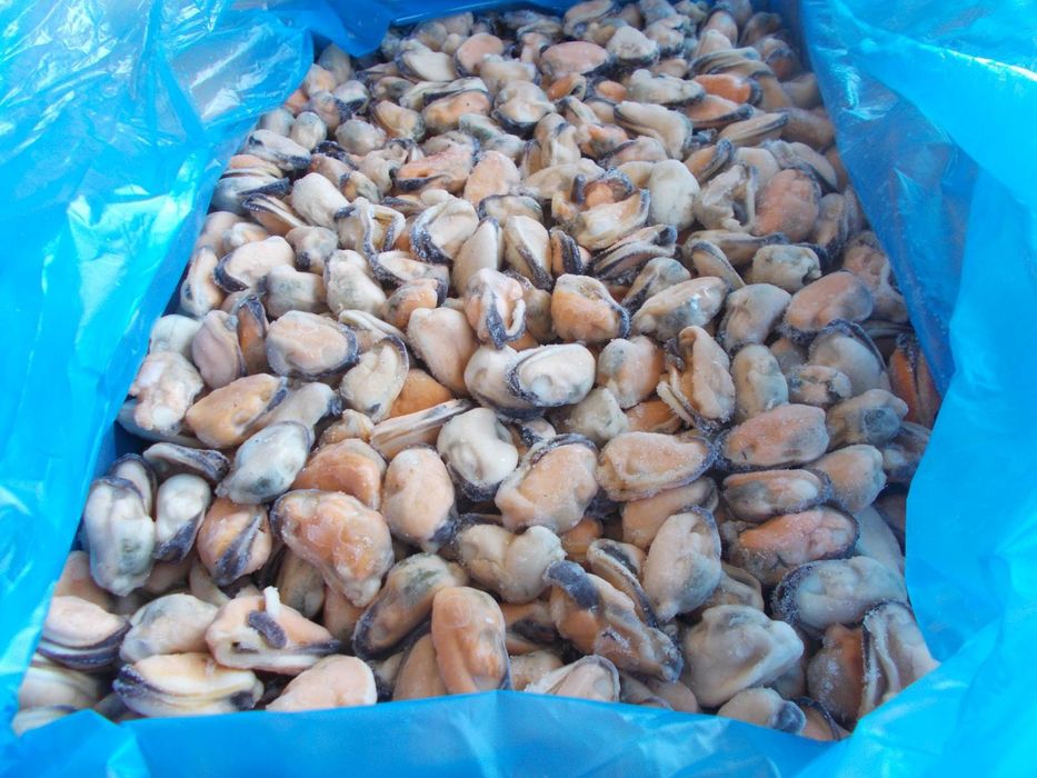 Мідія 100/200 крупна