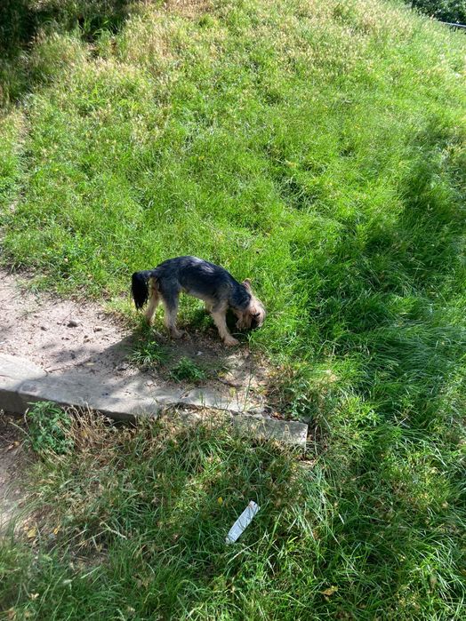 Раздаю очарованных Девочек и Мальчиков очень Красивых и Не Повторимых