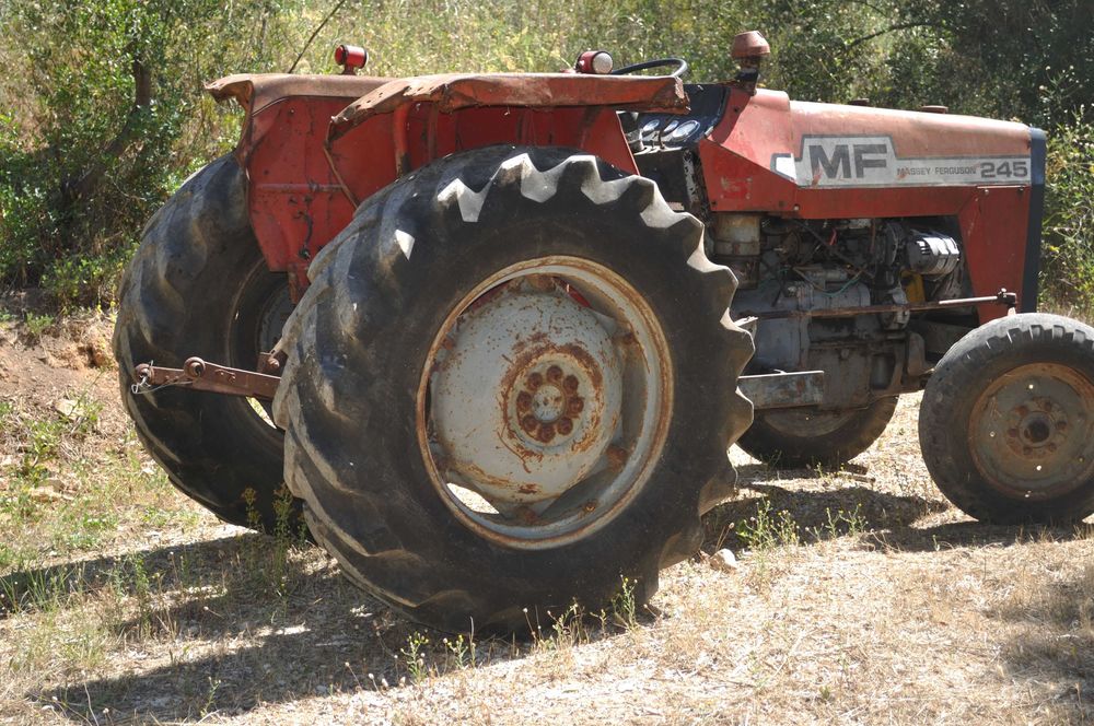 massey  Ferguson  245
