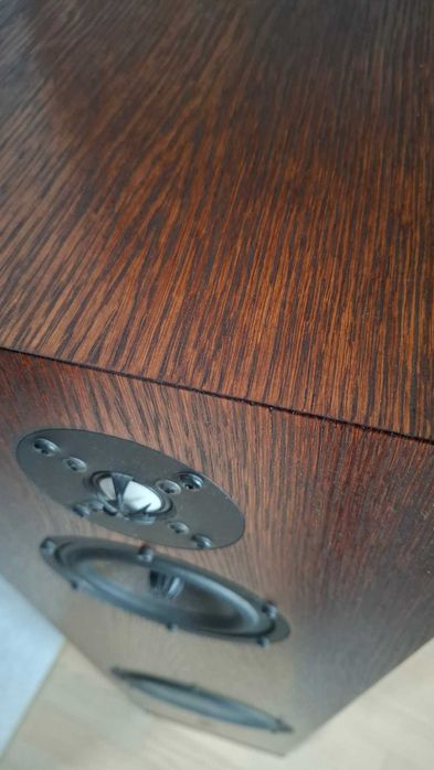 Equilibrium Euphoria