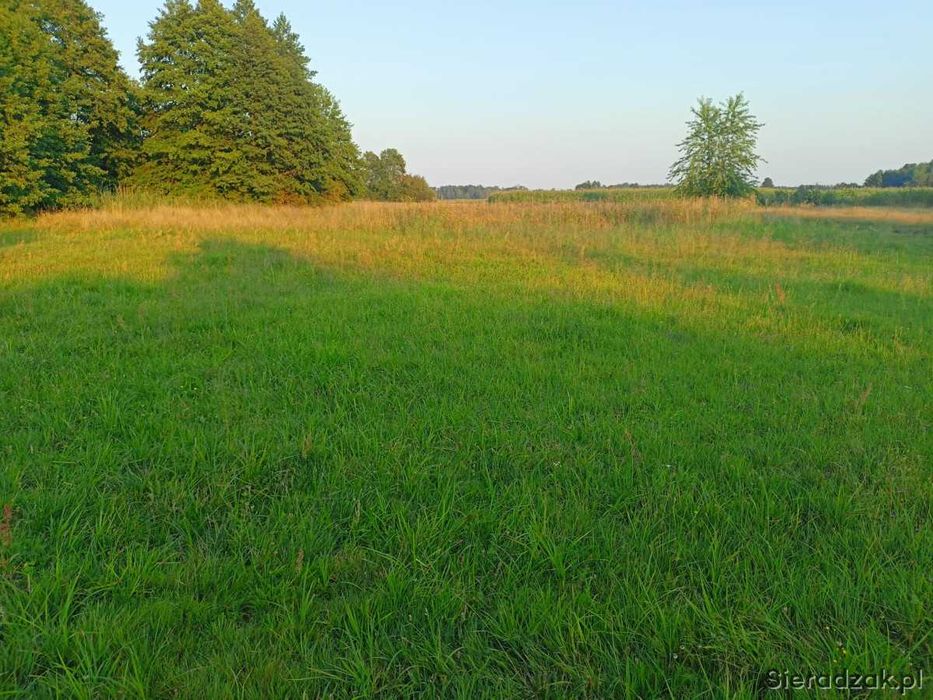 Działka budowlana Kamionacz 15 Arów