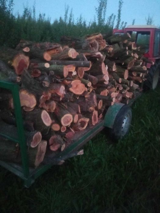 Drewno opałowe kominkowe