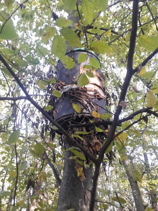 Ловушка для бджіл, пастка для бджіл, роєловка, ловушка