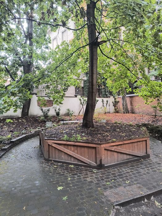 Mieszkanie, Kraków Stare Miasto